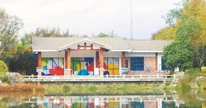 上新不斷更新不止，社區美術館在滬拔節生長