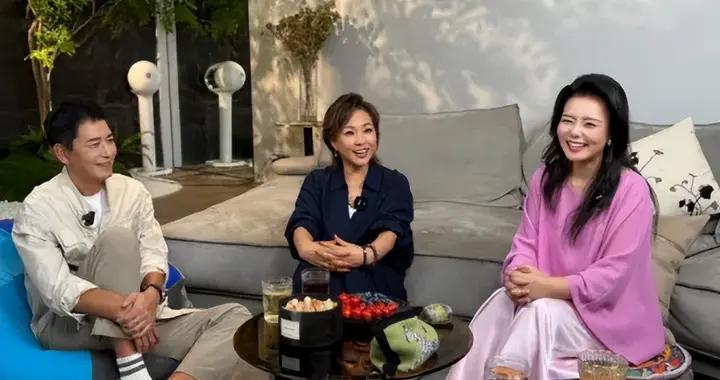 龔琳娜自述離婚內幕：“我們摟着睡了20年，直到他說交了女朋友”