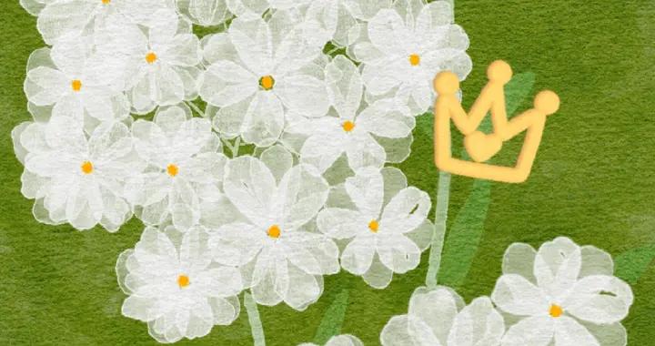 這麼好看的壁紙那個小仙女還沒有#治癒系插畫壁紙分享