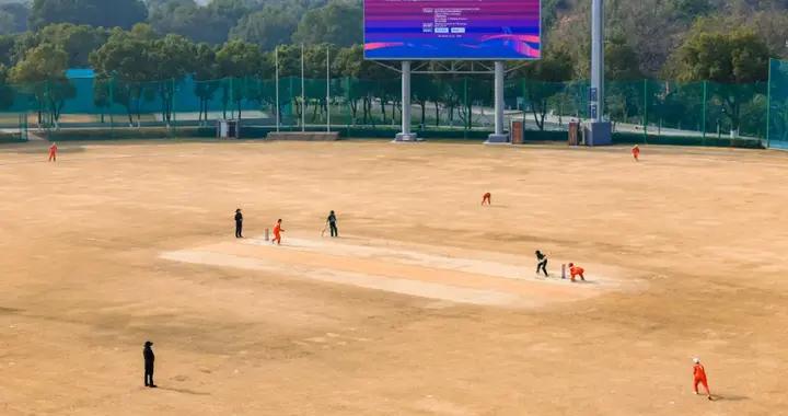 “接棒”國家隊試點後，浙江讓板球生根發芽