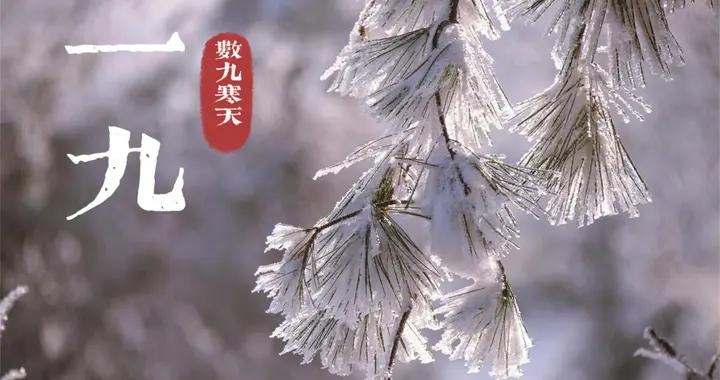 冬至後數九，建議中老年：喫2樣，喝2樣，做2事，溫補驅寒樂過冬