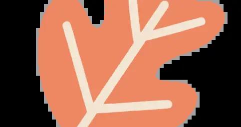 以“四求”推動中醫藥傳承創新———新時代中醫藥高質量發展的路徑探索