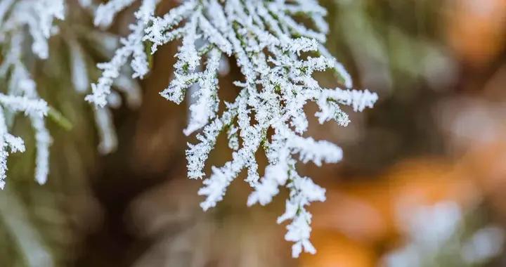 數九寒天到，疾病易扎堆，養生注意“四防一補”