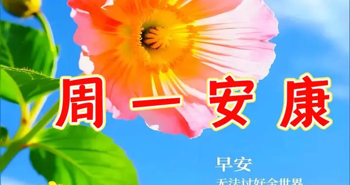 週一早安圖片|願日子皆幸福，生活皆美滿，好運連連