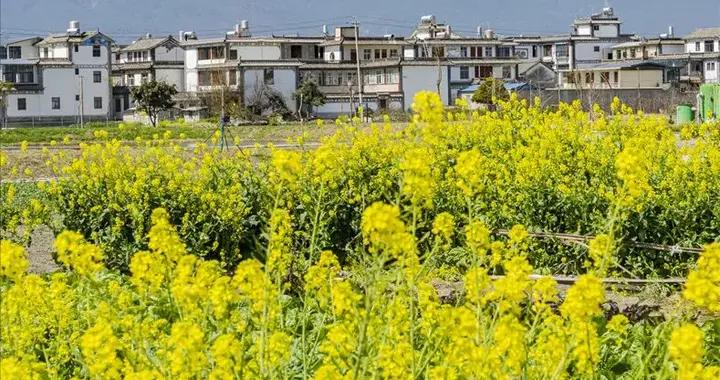 2026.3.18出發！1600公里滇西大環線，不可錯過的雲南春天之旅