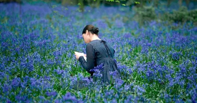 一週文藝：2025年度字詞、十大網絡流行語發佈，2025國產劇最高分出現