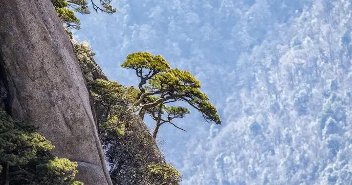 腎不好，身體會有這些表現，養腎“三字經”值得收藏