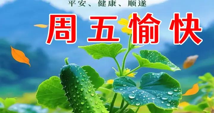 星期五早安圖片|親友關懷暖心房，幸福生活萬年長