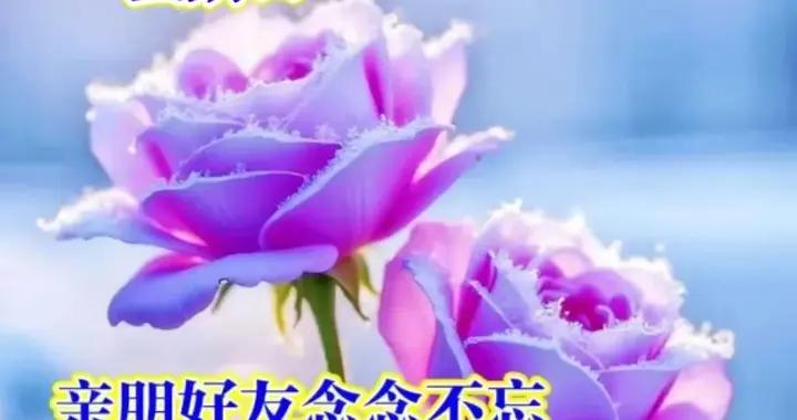 快樂贏財富，包容藏知足，感恩添壽福。願我們健康快樂每一天