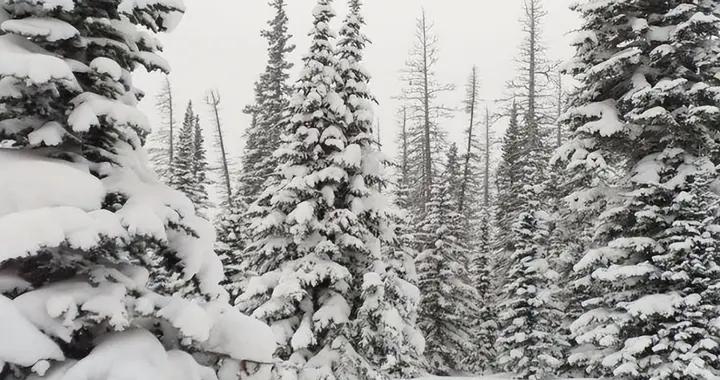 國家氣候中心曝光：我國已進入拉尼娜狀態，2008年雪災會重演嗎？