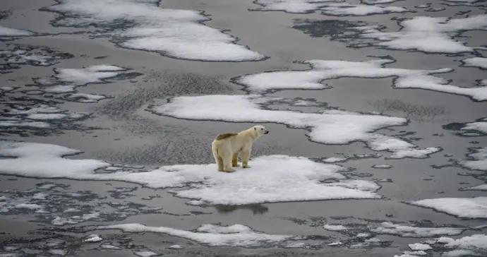 數百萬平方公里海冰消失，創歷史紀錄！南北極推倒全球氣候“多米諾骨牌”