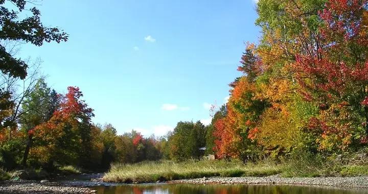橋本甲狀腺炎的中醫調理
