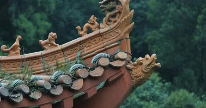 穿越時間的棱鏡：歷史書中的洞見與迴響