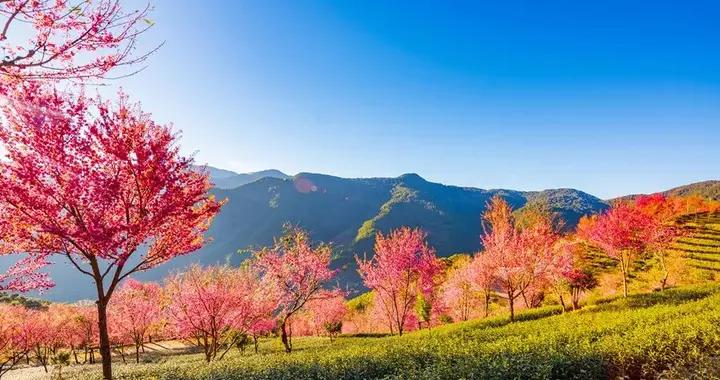 爲什麼流感會引起女性經水變化？