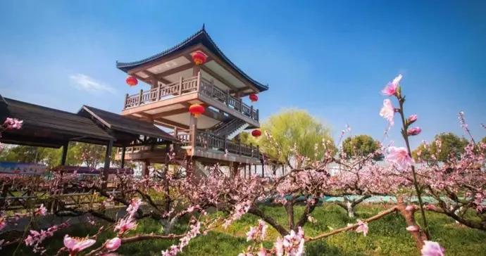 18個金點子落地，金山呂巷鄉村振興迎來“青年設計隊”