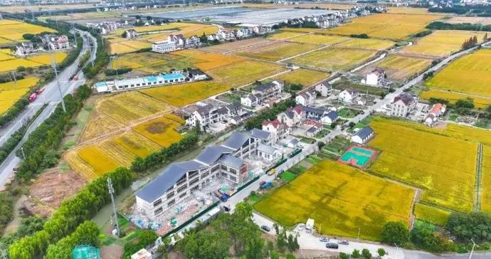 全村“打包”發展，興塔村牽手企業走活鄉村振興棋