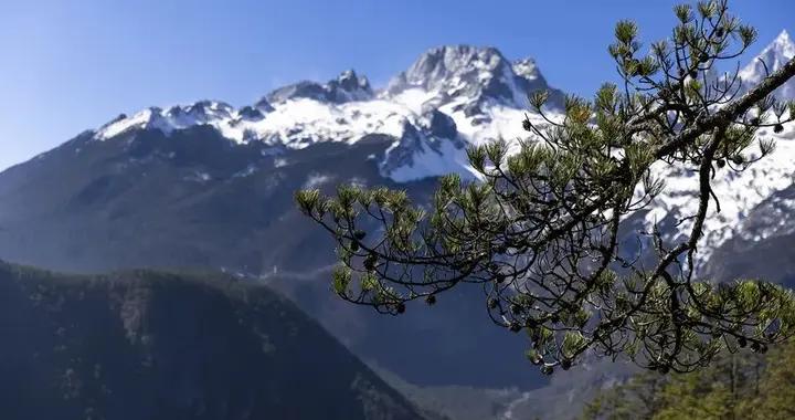 冬季滋補有度，忌蠻補而傷脾敗胃，推薦5款食養方