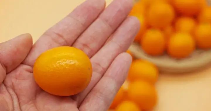 這種冬天常見的小果子，是中醫眼中的“天然逍遙丸”