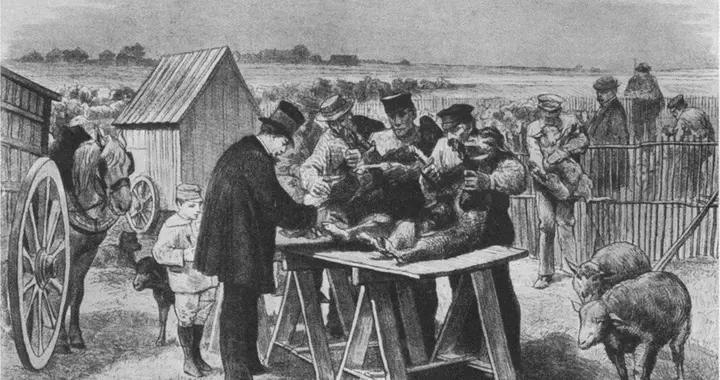 一戰封神！巴斯德如何用60只羊改寫了人類防疫史？ | 商周專欄