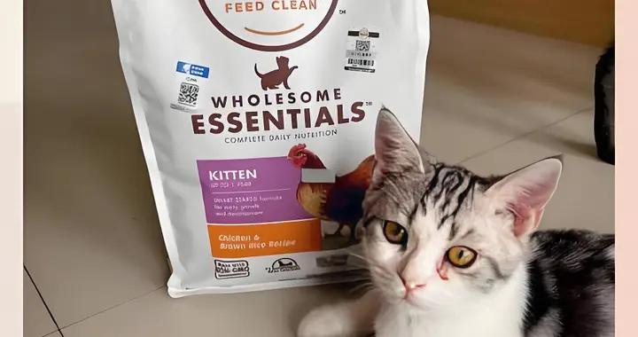 美士貓糧好不好？有什麼推薦的平替糧？